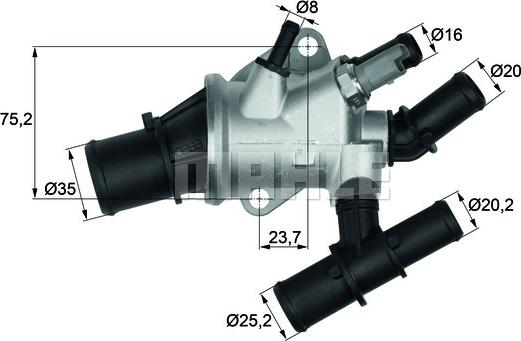 Wilmink Group WG1217604 - Termostato, Refrigerante autozon.pro