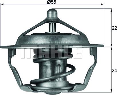 Wilmink Group WG1217856 - Termostato, Refrigerante autozon.pro