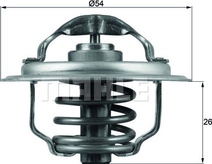 Wilmink Group WG1217868 - Termostato, Refrigerante autozon.pro