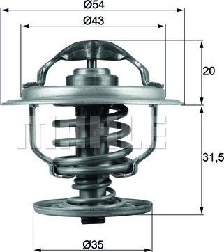 Wilmink Group WG1217862 - Termostato, Refrigerante autozon.pro