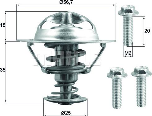 Wilmink Group WG1789696 - Termostato, Refrigerante autozon.pro