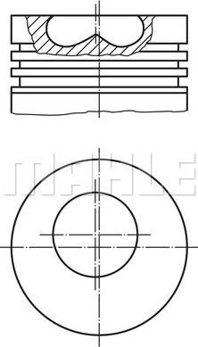 Wilmink Group WG1788690 - Pistone autozon.pro