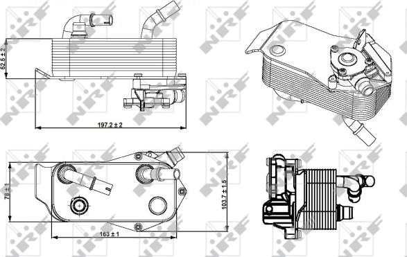 Wilmink Group WG1720020 - Radiatore olio, Cambio automatico autozon.pro