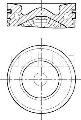 Wilmink Group WG2196018 - Pistone autozon.pro