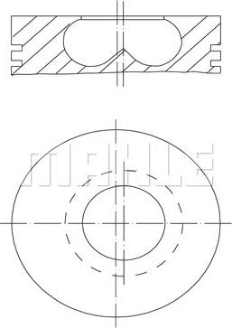 Wilmink Group WG2191769 - Pistone autozon.pro