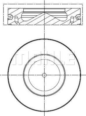 Wilmink Group WG2191766 - Pistone autozon.pro