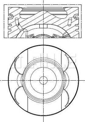 Wilmink Group WG2191738 - Pistone autozon.pro