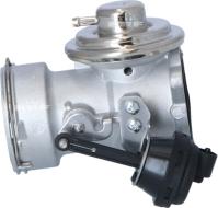 Wilmink Group WG2161801 - Valvola ricircolo gas scarico-EGR autozon.pro