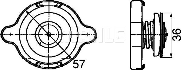 Wilmink Group WG2184184 - Tappo, radiatore autozon.pro