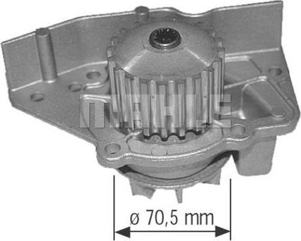 Wilmink Group WG2181357 - Pompa acqua autozon.pro