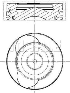 Wilmink Group WG2179630 - Pistone autozon.pro