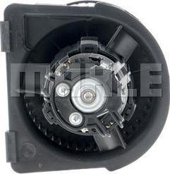 Wilmink Group WG2179859 - Ventilatore abitacolo autozon.pro