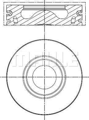 Wilmink Group WG2304464 - Pistone autozon.pro