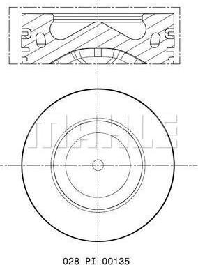 Wilmink Group WG2325809 - Pistone autozon.pro