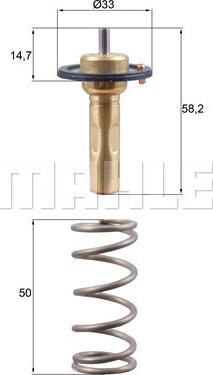 Wilmink Group WG2224807 - Termostato, Refrigerante autozon.pro