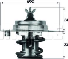 Wilmink Group WG2224825 - Termostato, Refrigerante autozon.pro