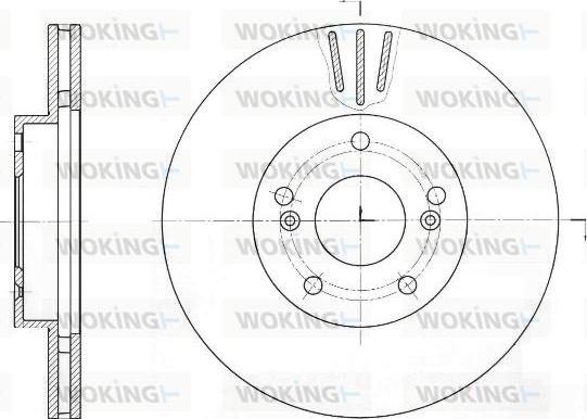 Woking D61644.10 - Discofreno autozon.pro