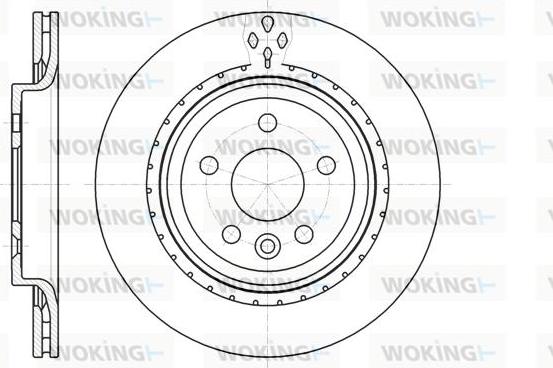 Woking D61305.10 - Discofreno autozon.pro