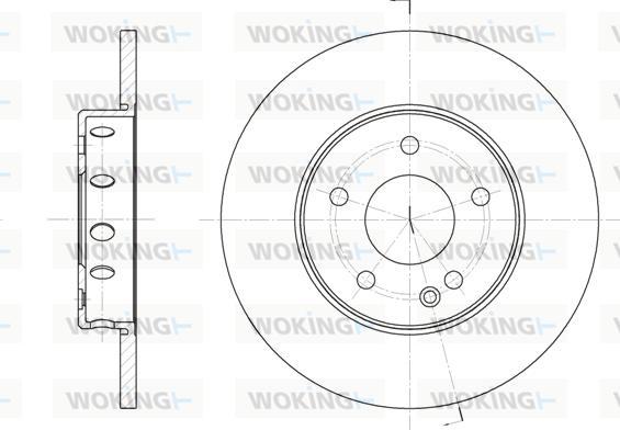 Woking D6310.00 - Discofreno autozon.pro