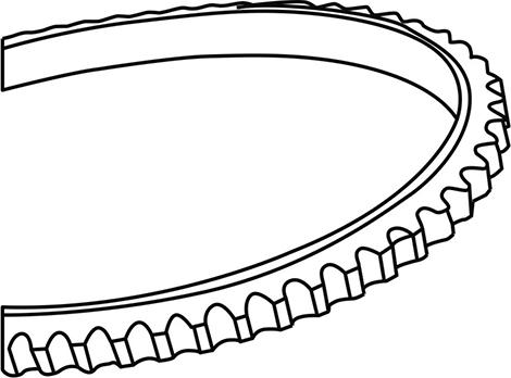 WXQP 311031 - Cinghia trapezoidale autozon.pro