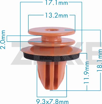 Zekkert BE-3828 - Clip, Fregio / Modanatura protettiva autozon.pro