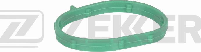 Zekkert DI-1019 - Guarnizione, Collettore aspirazione autozon.pro