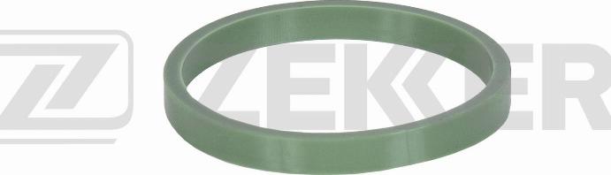 Zekkert DI-1036 - Guarnizione, Collettore aspirazione autozon.pro