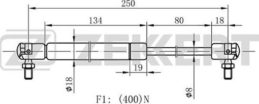 Zekkert GF-1497 - Ammortizzatore pneumatico, Cofano motore autozon.pro