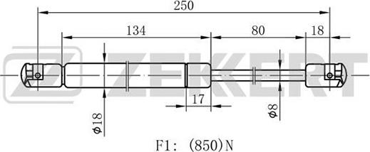 Zekkert GF-1431 - Ammortizzatore pneumatico, Cofano motore autozon.pro