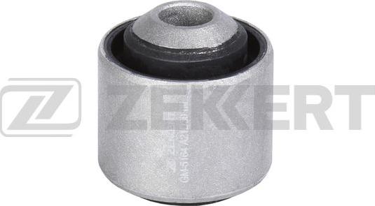 Zekkert GM-5164 - Supporto, Braccio oscillante autozon.pro