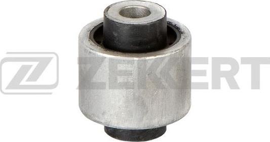 Zekkert GM-6653 - Supporto, Braccio oscillante autozon.pro