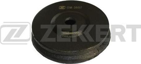 Zekkert GM-3657 - Sospensione, Motore autozon.pro