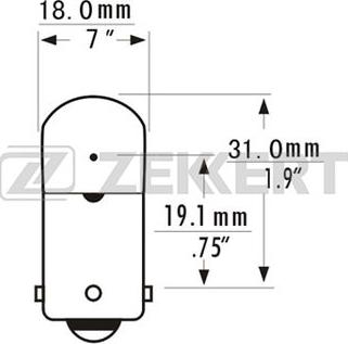 Zekkert LP-1034 - Lampadina, Luce targa autozon.pro