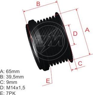 ZM ZM 96.005.35 - Puleggia cinghia, Alternatore autozon.pro