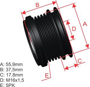 ZM ZM 96.000.68 - Puleggia cinghia, Alternatore autozon.pro