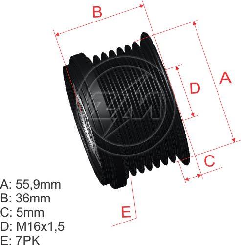 ZM ZM 96.000.30 - Puleggia cinghia, Alternatore autozon.pro