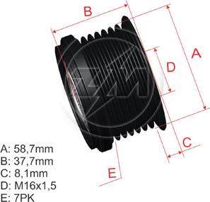 ZM ZM 96.000.25 - Puleggia cinghia, Alternatore autozon.pro