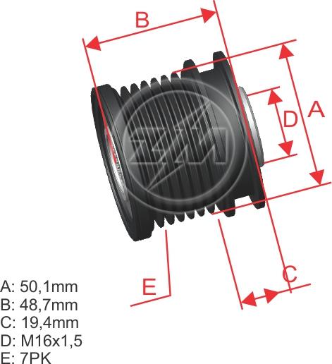 ZM ZM 96.012.09 - Puleggia cinghia, Alternatore autozon.pro