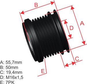 ZM ZM 96.012.30 - Puleggia cinghia, Alternatore autozon.pro