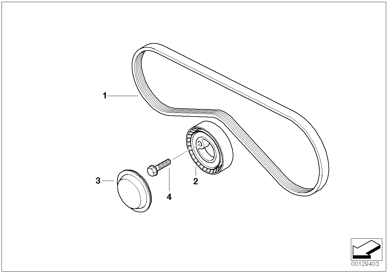 BMW 64 55 1 727 378 - Cinghia Poly-V autozon.pro