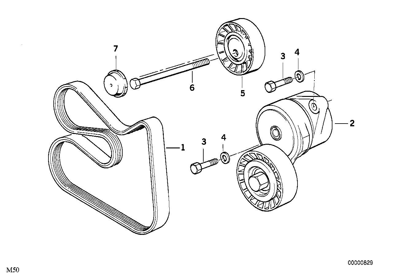 Mini 11281427252 - Tendicinghia, Cinghia Poly-V autozon.pro