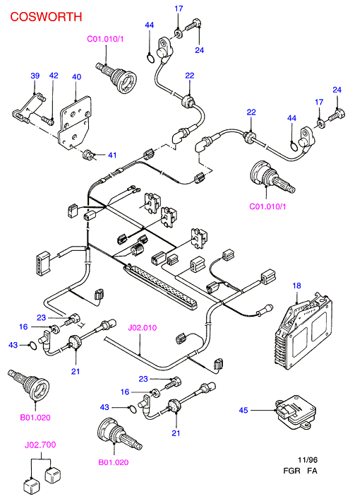 FORD 6081249 - Cinghia Poly-V autozon.pro