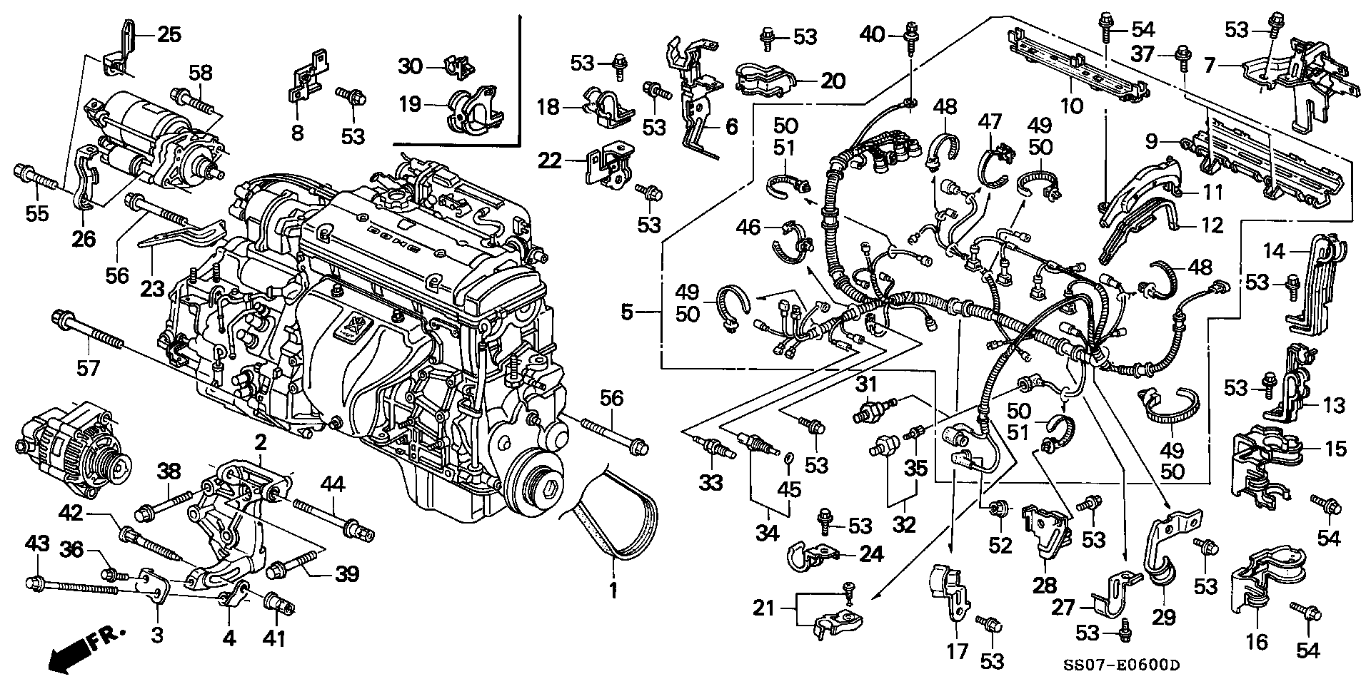 Honda 31110-P12-A01 - Cinghia Poly-V autozon.pro