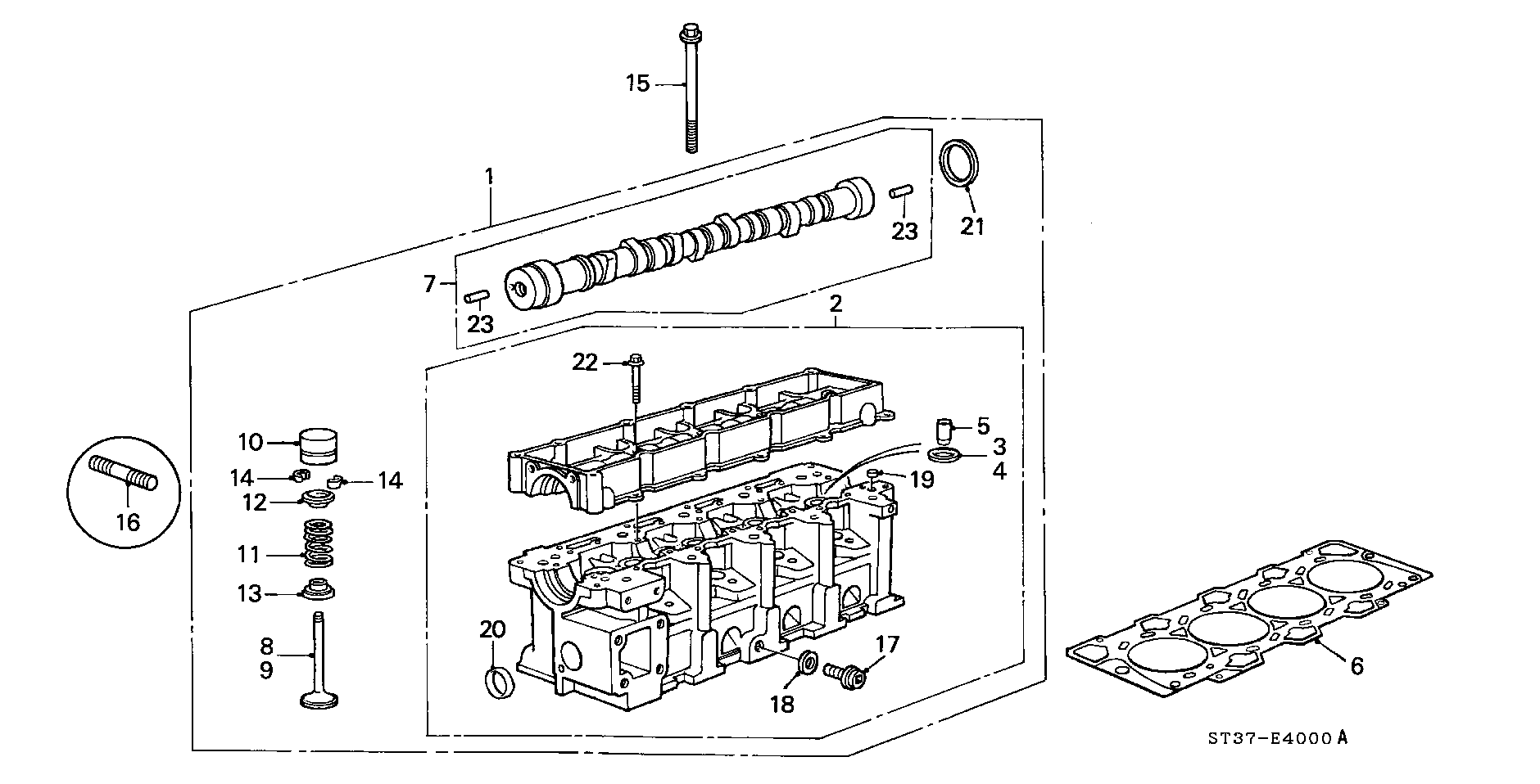 Honda 91201P5TG00 - Paraolio, Albero a camme autozon.pro