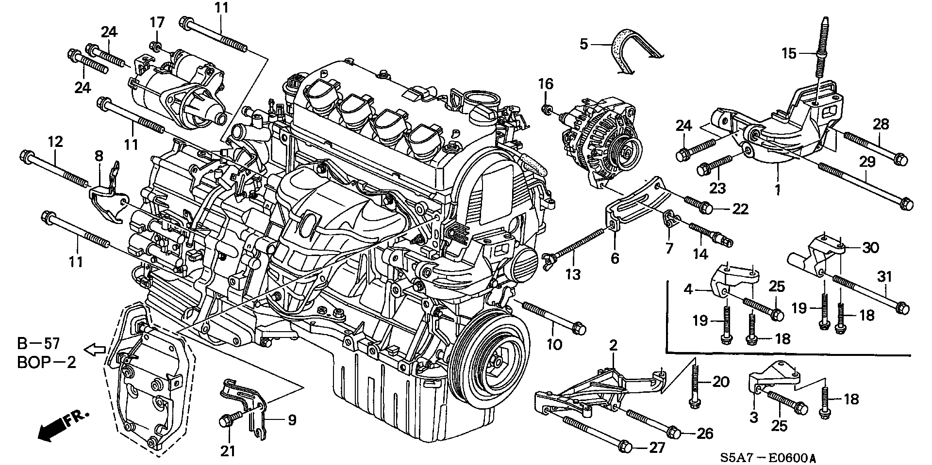 Honda 31110-PLA-E01 - Cinghia Poly-V autozon.pro