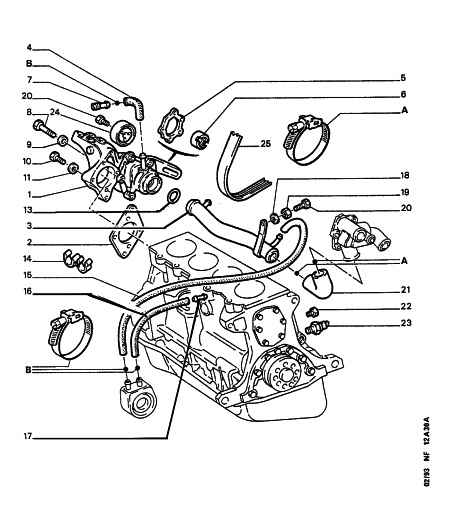 PEUGEOT 1280 19 - Cinghia Poly-V autozon.pro