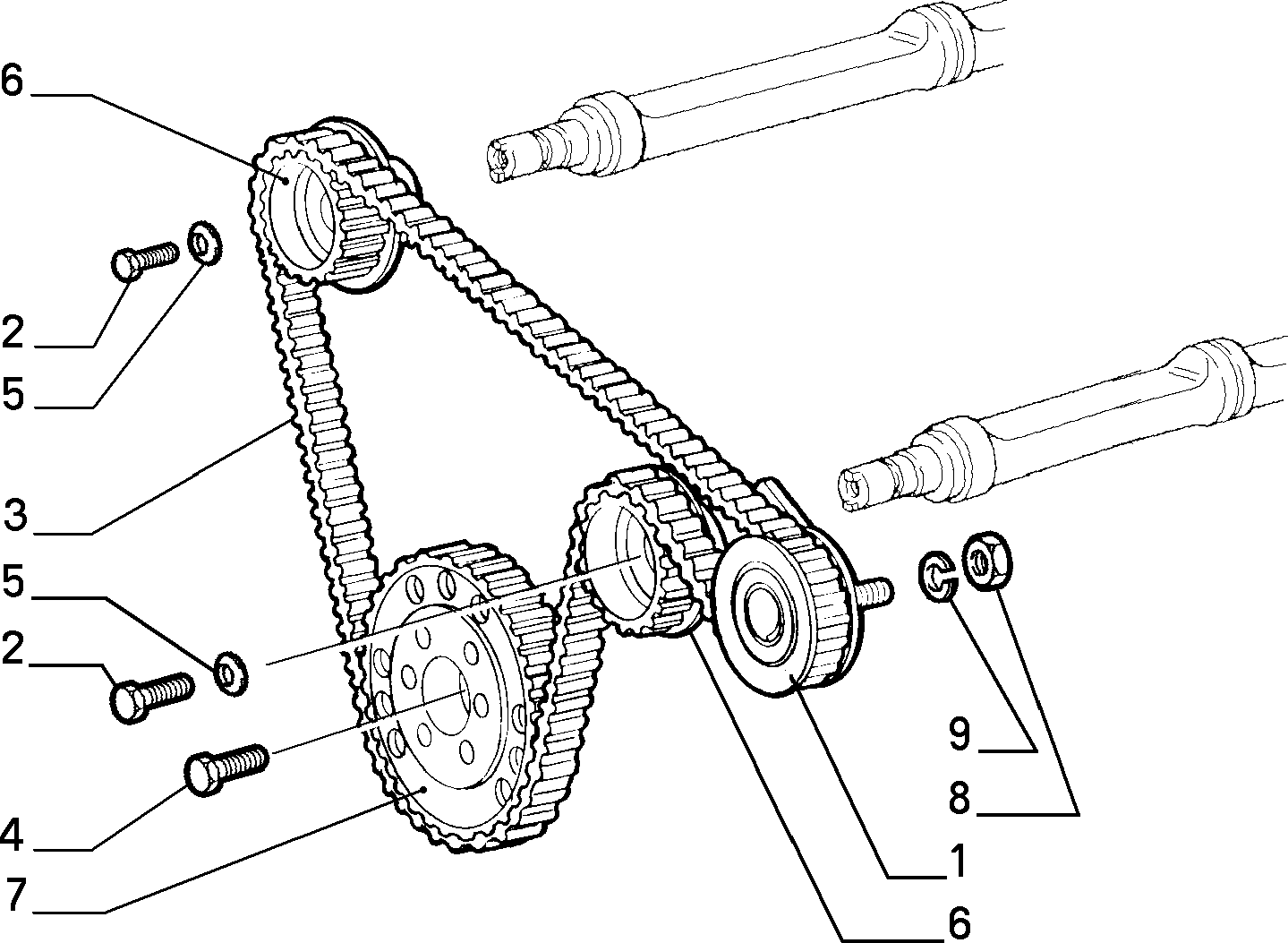 FIAT 60812382 - Cinghia dentata autozon.pro