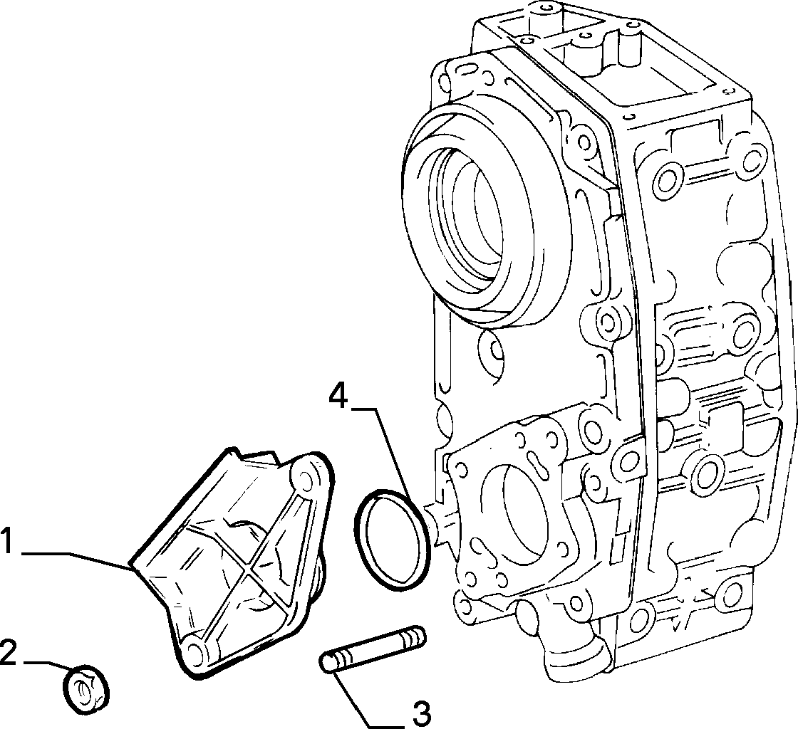 FIAT 14059411 - Dado, Collettore gas scarico autozon.pro