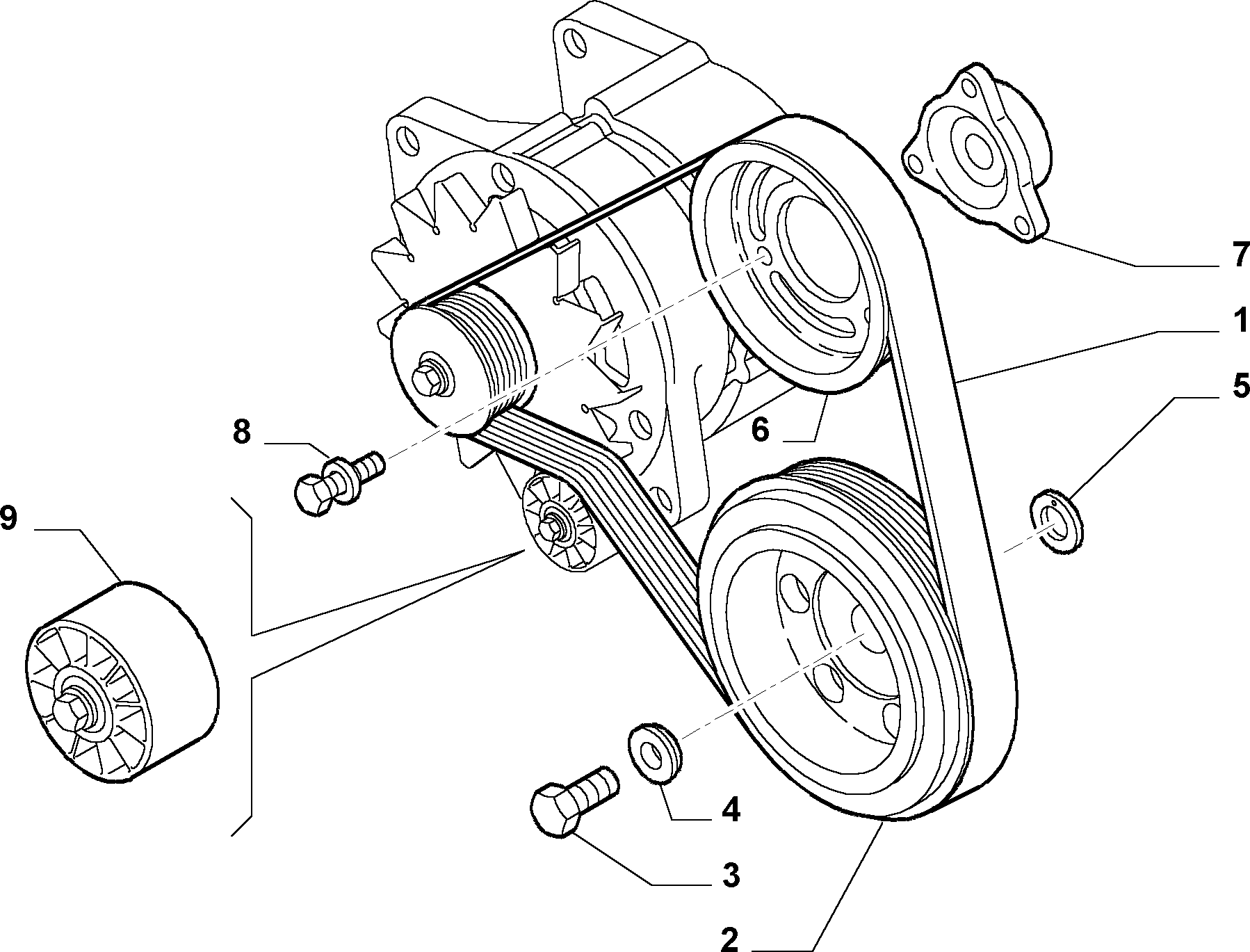 FIAT 504171191 - Cinghia Poly-V autozon.pro